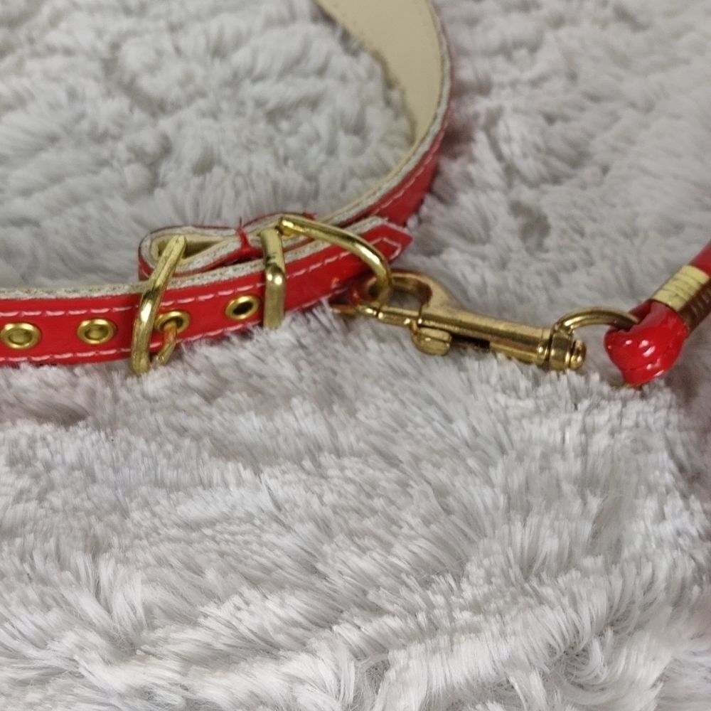 Red Dog Collar & Leash 18 - Picture 3 of 5